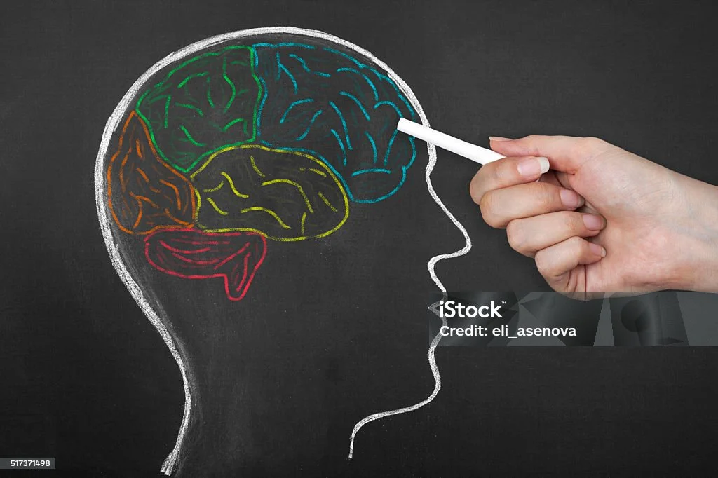 전두엽 기능과 감정을 나타내는 도표