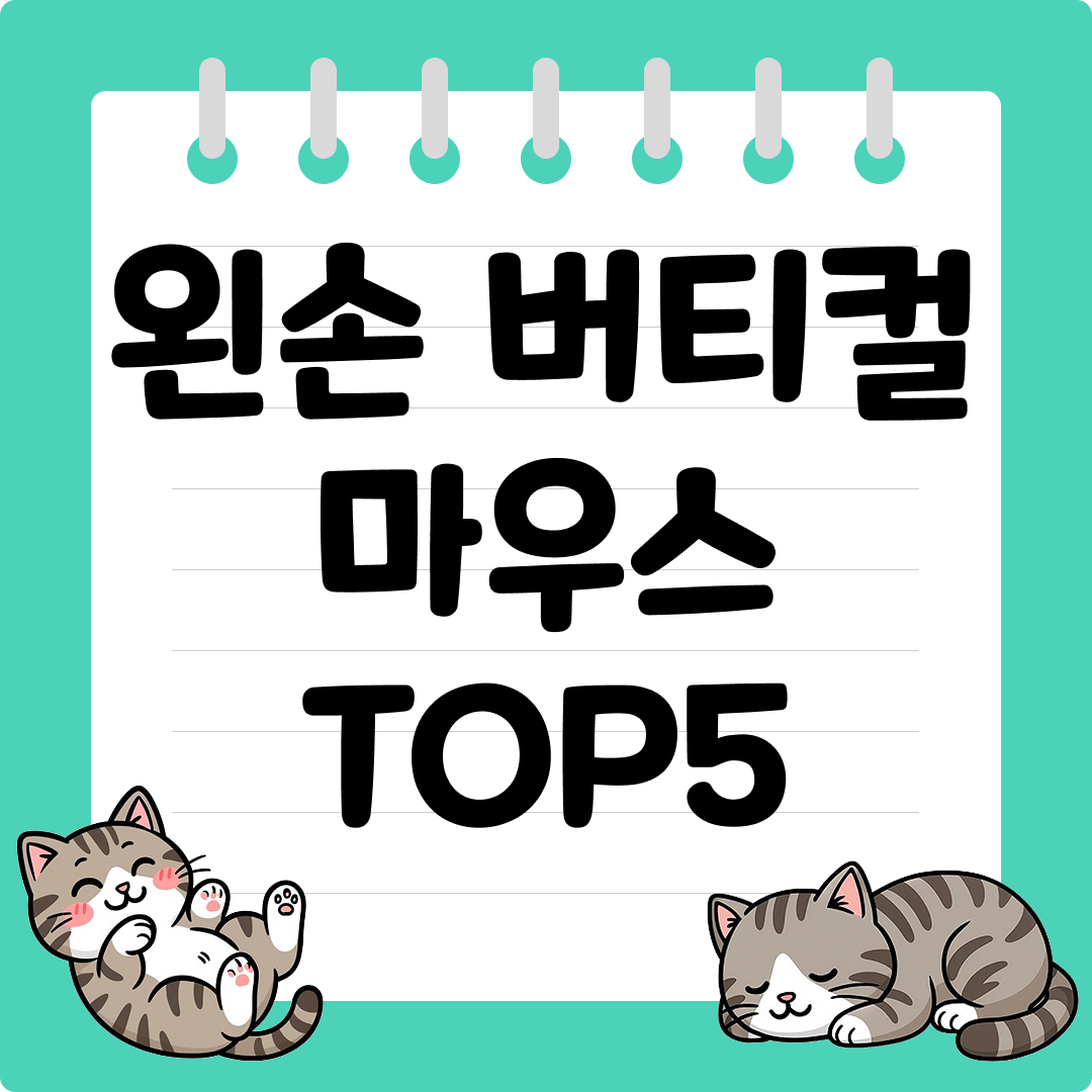 손목편한 왼손잡이용 버티컬 마우스 추천 순위 TOP5