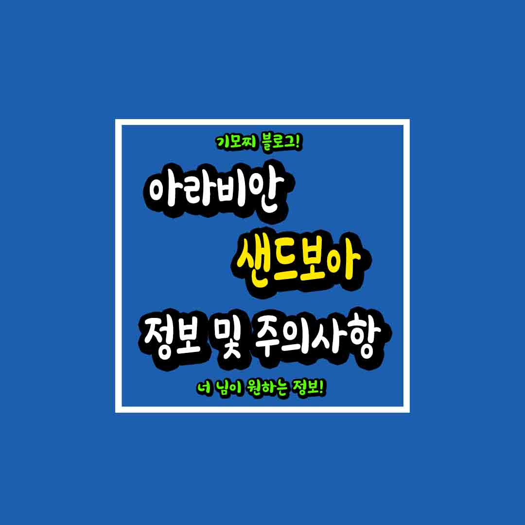 아라비안 샌드보아 정보