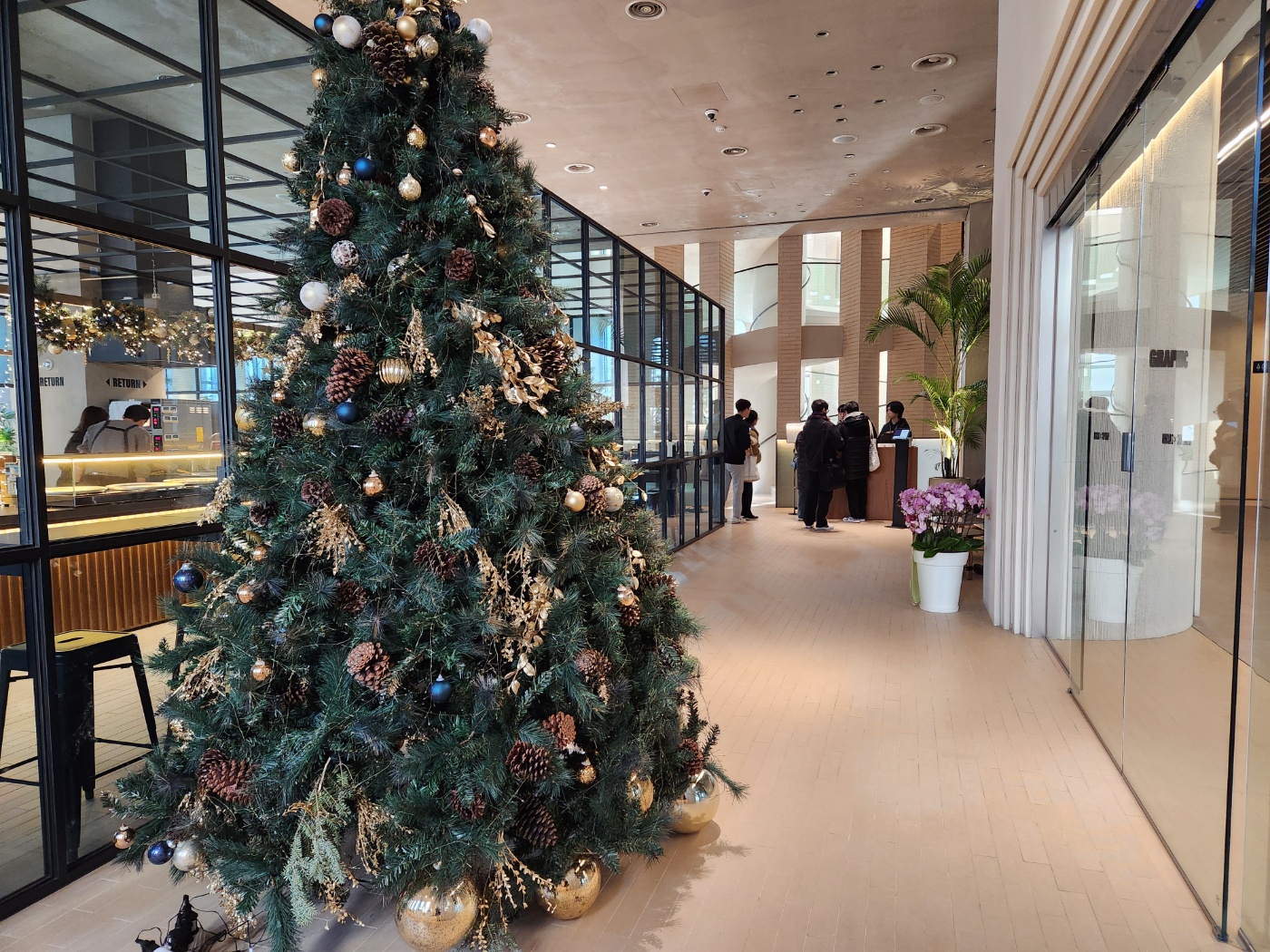 그래픽바이대신