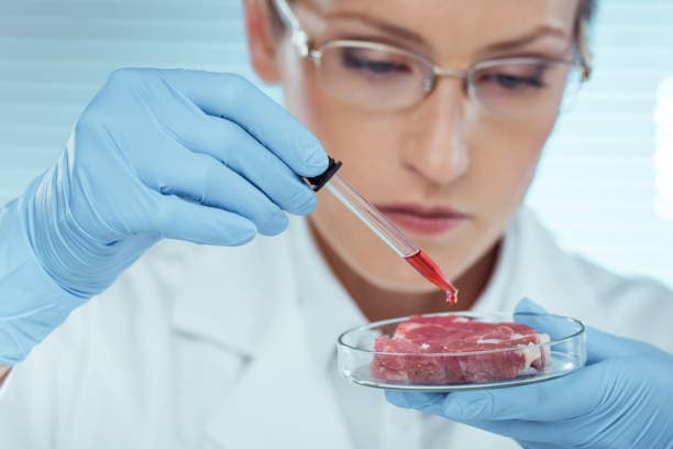 배양육의 과학적 원리: 세포 배양 기술의 비밀