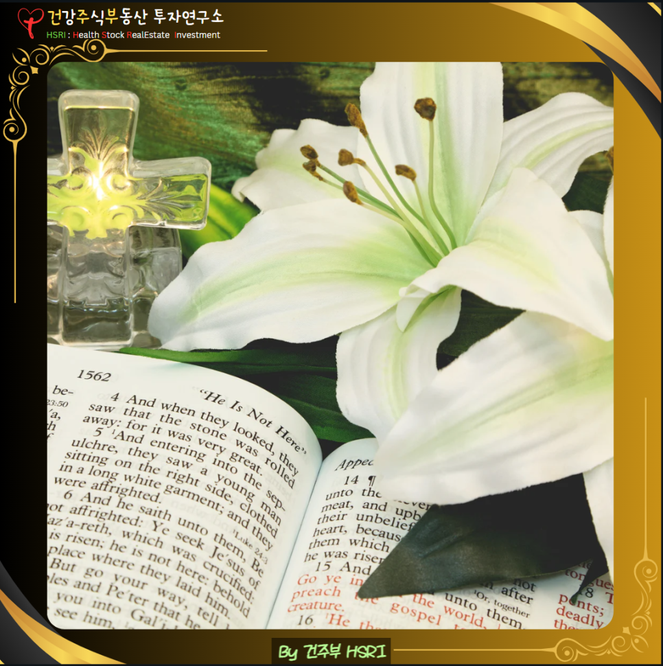 건주부의 사역을위해 기도부탁드립니다.
(글 그림: 건주부, 그림 출처 : Canva)