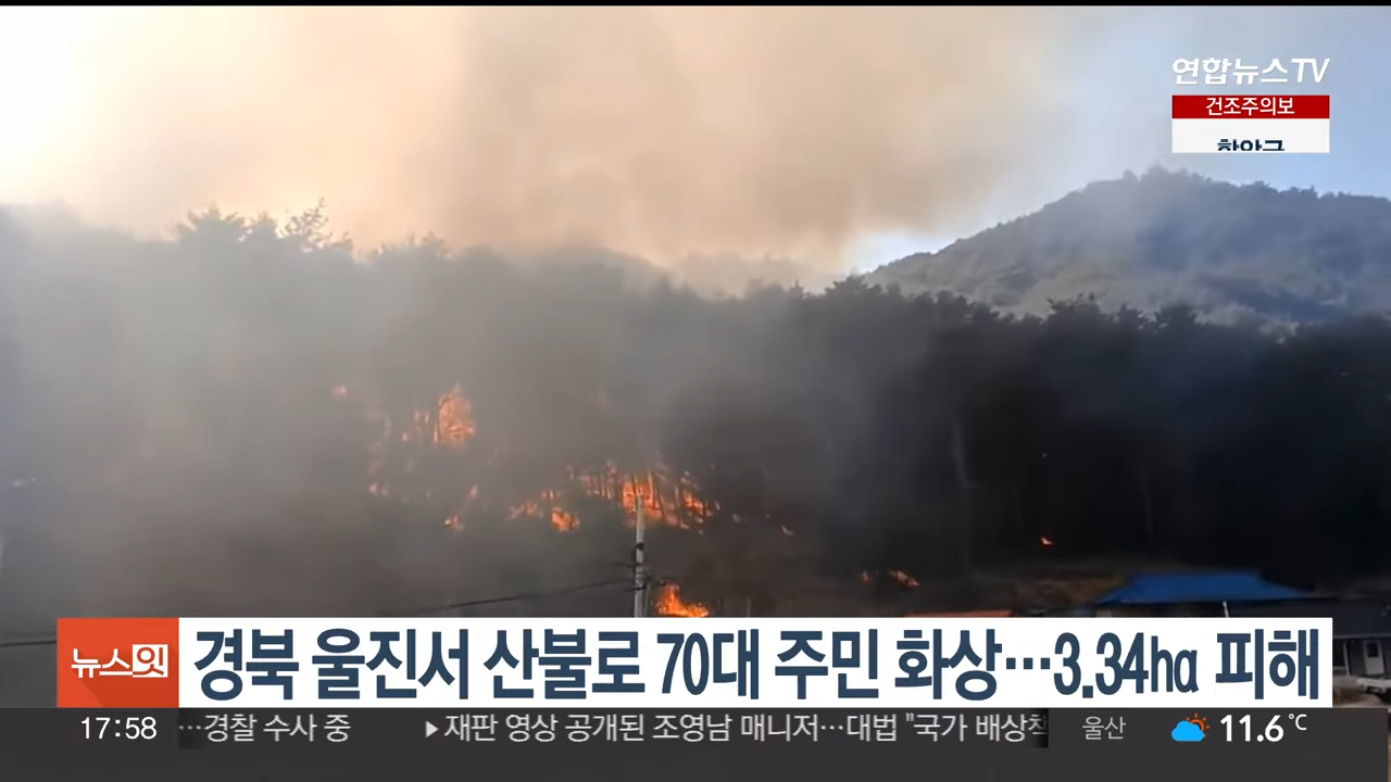 연합뉴스 울진산불