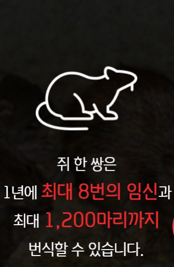 세스코 가정집 비용