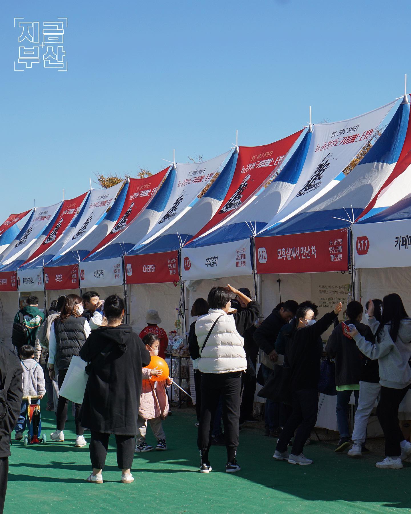 2024 글로벌 영도커피페스티벌 기본정보와 프로그램 정리