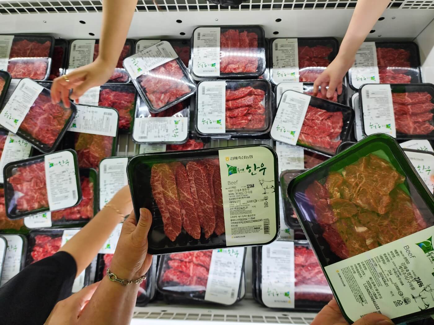 제1회 김해한우축제 일정&amp;#44; 개막 축하공연 초대가수