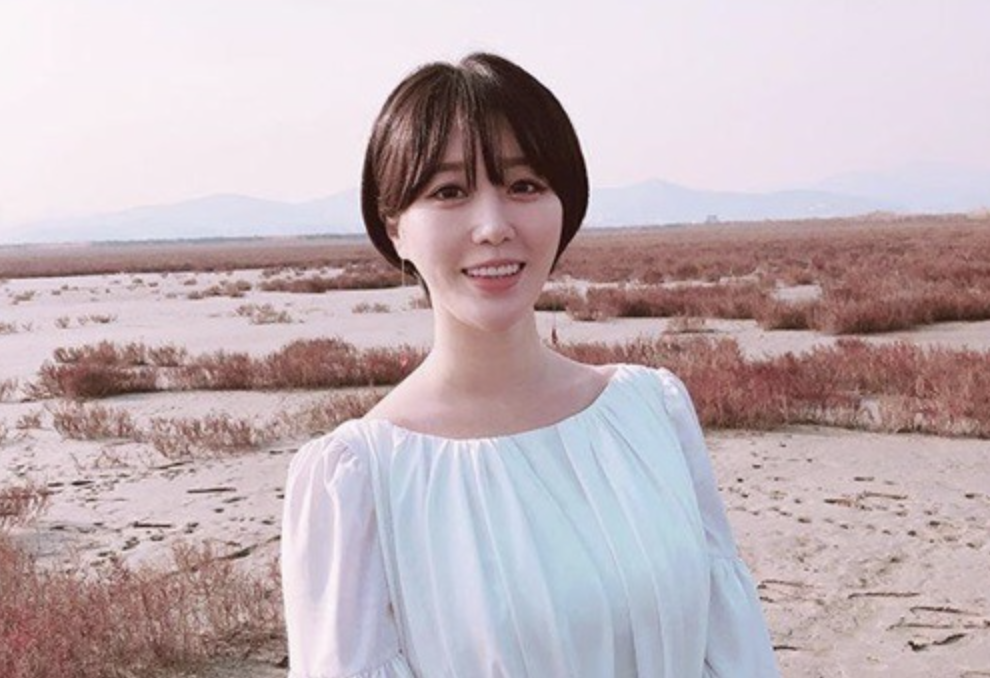 가수 나비