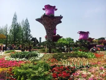 고양 꽃박람회 입장료 사전예약 가는길_23