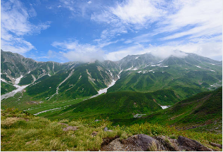 동백패스 환급금 사용방법
