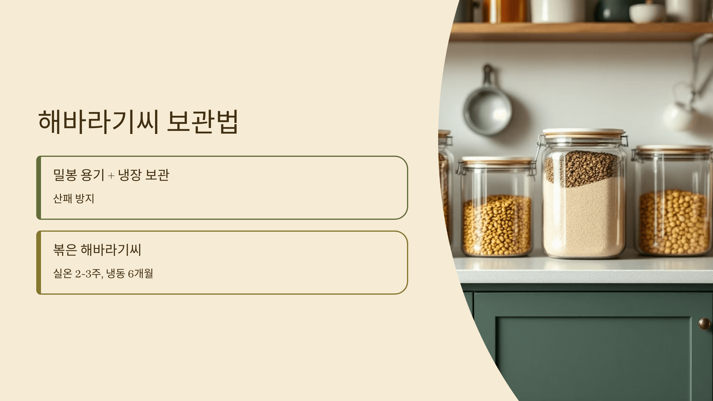 해바라기씨 사진입니다.