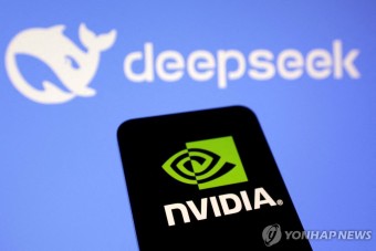 딥시크 쇼크