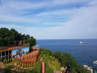 동해 가볼만한곳 맛집 추천 카페 봄 베스트 10_17