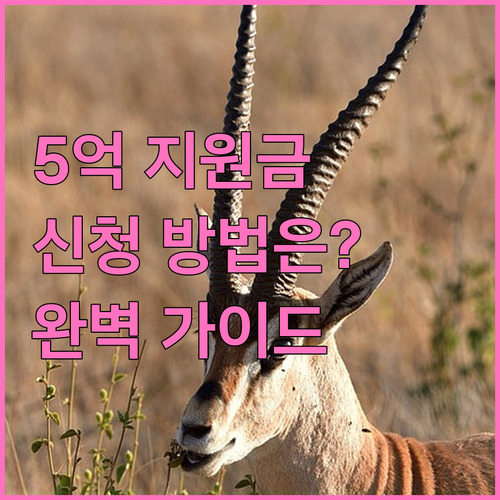 2025 수산업경영인육성사업 완벽 가..