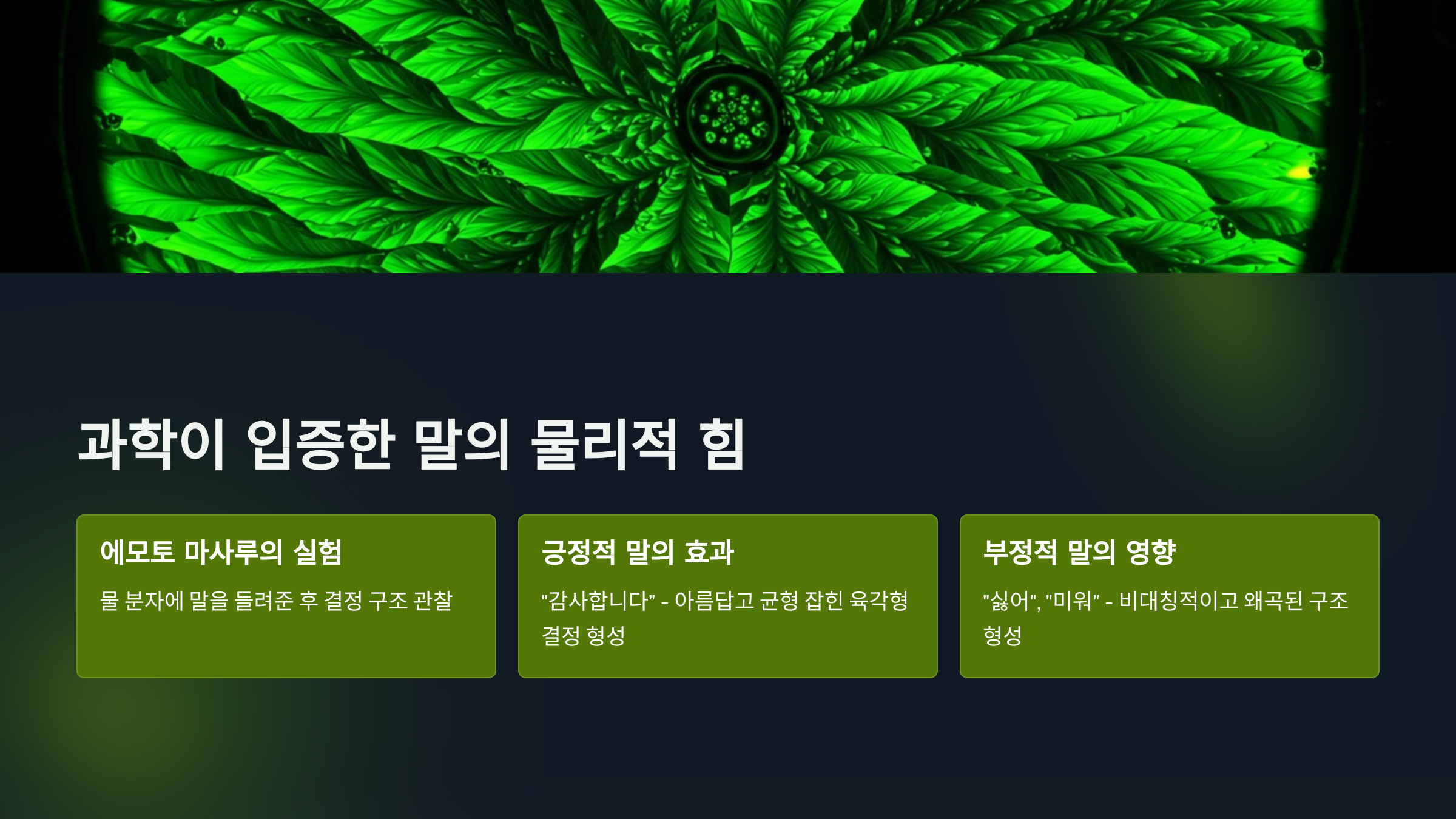 말의 물리적인 힘
