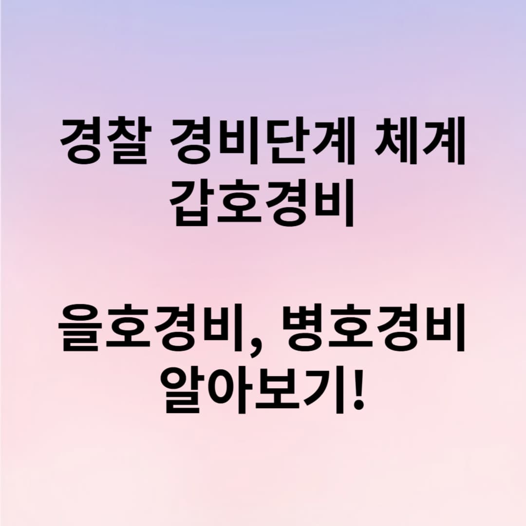 갑호경비 뜻과 경찰 경비단계 총정리: 을·병호경비