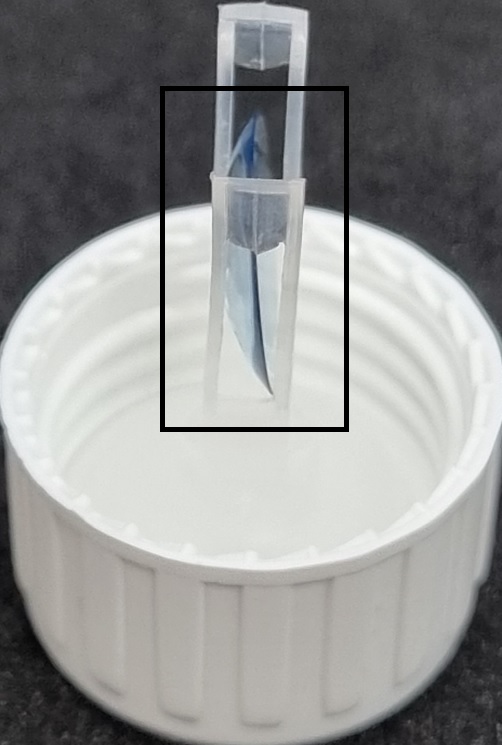 하드-렌즈-착용-방법-빼는-방법