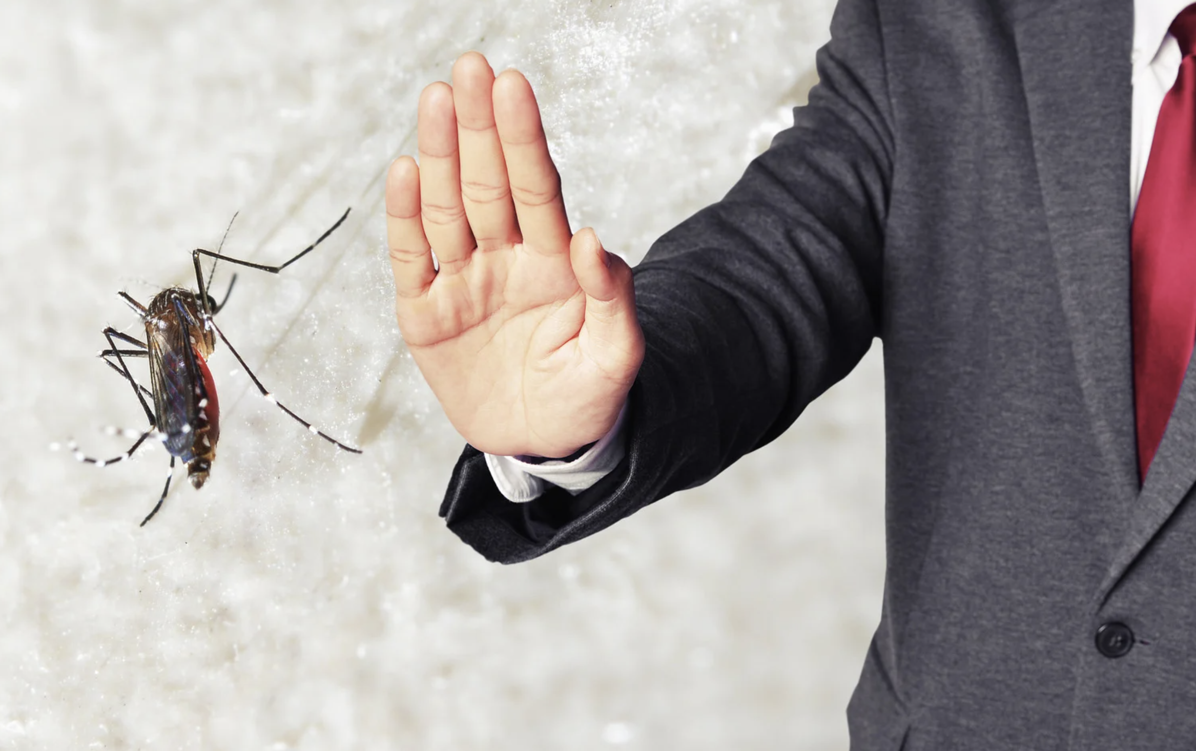 모기 퇴치를 상징하는 이미지