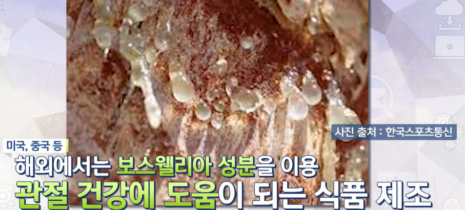 보스웰리아