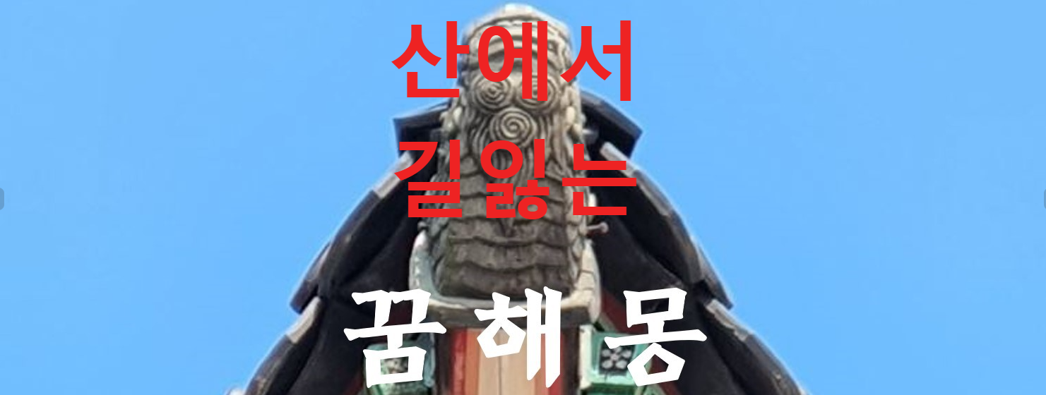 꿈해몽