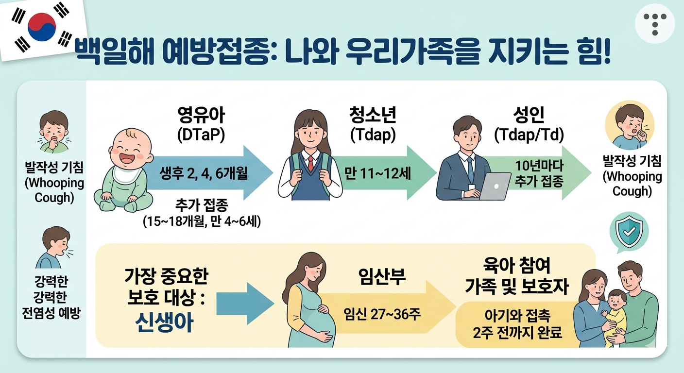 '백일해 예방접종: 나와 우리가족을 지키는 힘!'이라는 제목의 인포그래픽. 영유아(DTaP) 생후 2,4,6개월 및 추가접종, 청소년(Tdap) 만 11~12세, 성인(Tdap/Td) 10년마다 추가접종 시기를 타임라인으로 설명합니다. 하단에는 '가장 중요한 보호 대상: 신생아'를 위해 임산부는 임신 27~36주, 육아 참여 가족 및 보호자는 아기와 접촉 2주 전까지 접종을 완료해야 한다는 내용이 그림과 함께 명시되어 있습니다. 좌우에는 발작성 기침 증상과 강력한 전염성 예방을 강조하는 아이콘이 있습니다.