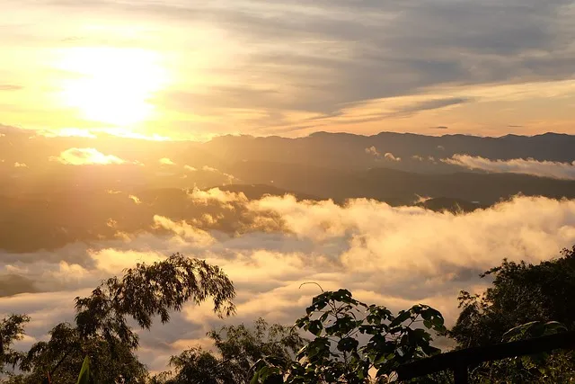 프로야구 우천취소 환불 규정 경기 시작 시간 공지 알림 미리 알기_8