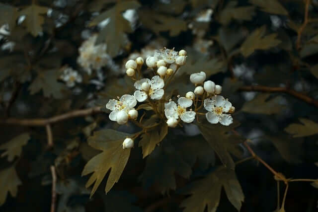 오메가 3 고르는 5가지 현명한 방법