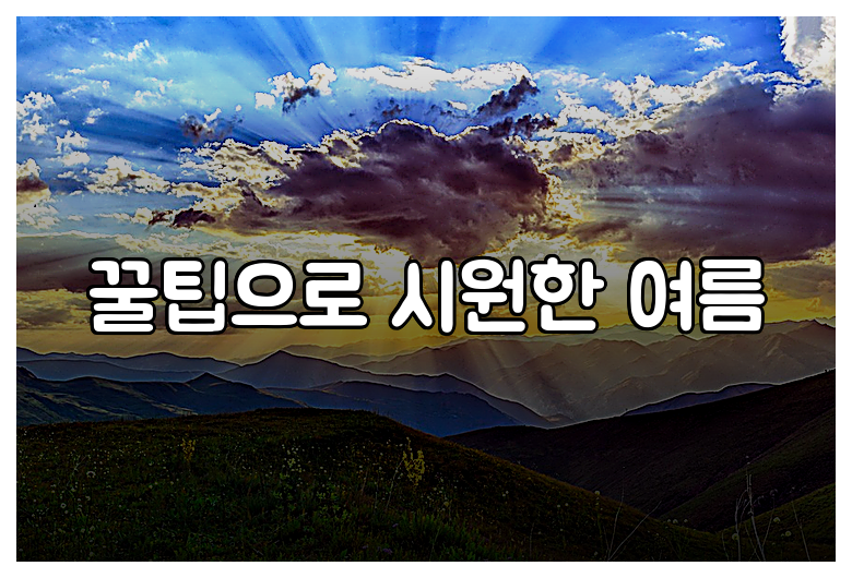꿀팁으로 시원한 여름