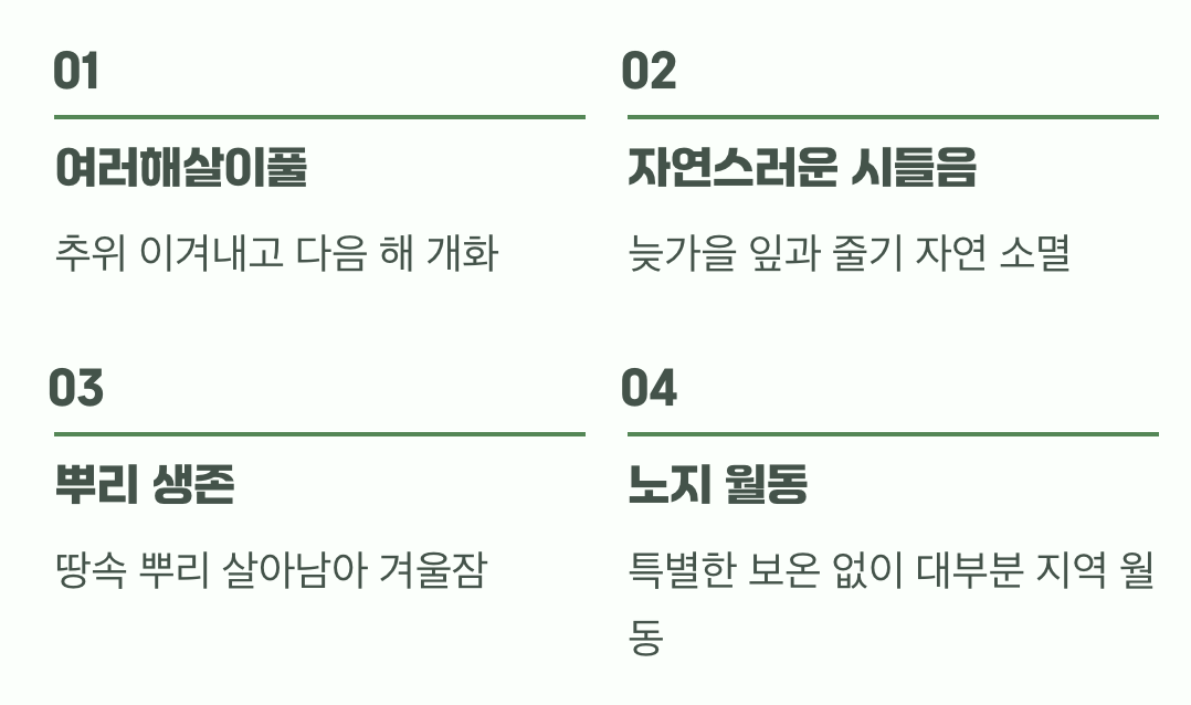 겨울, 그리고 새로운 약속