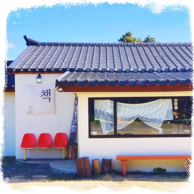 힙하게 놀자! 제주도 북카페 전통배체험 봄 제주 감성 여행 정보