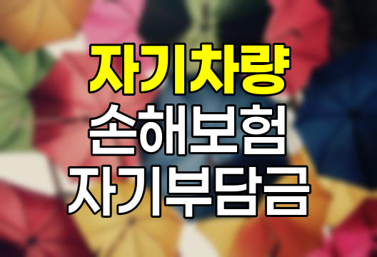 자기차량 손해보험 자기부담금 설정의 핵심