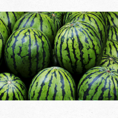 수박 냉동 소분 시 지퍼백 공기 최대 제거