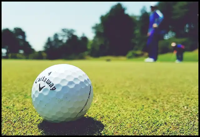 파크골프의 기본자세 (+ 퍼터 )