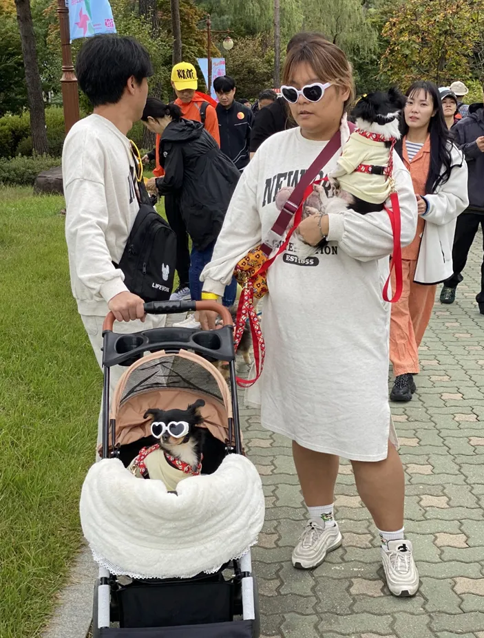 동물가족 행복 페스타 뚝섬한강공원 동행런 참가 신청 방법 축제