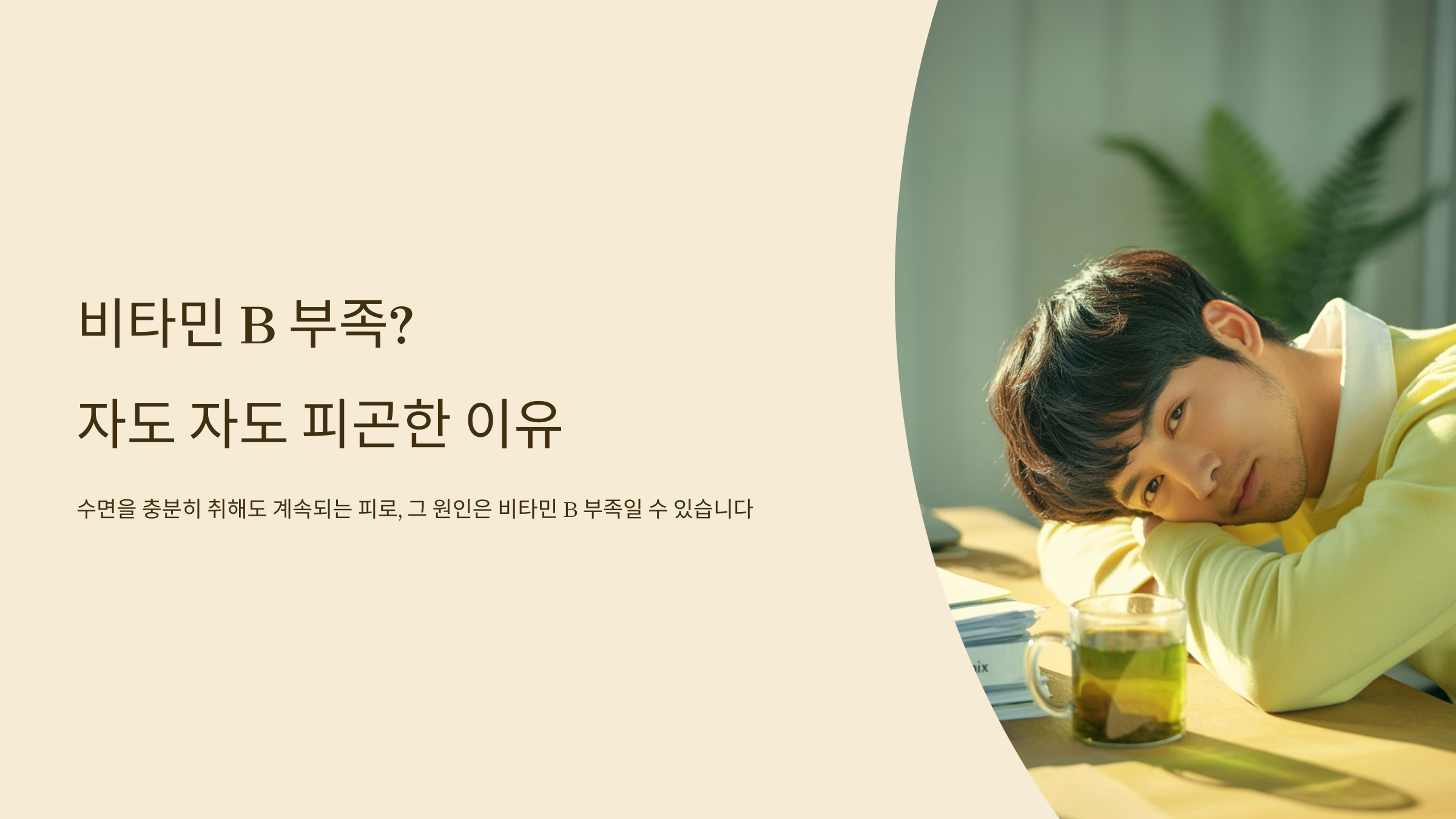 비타민 B 부족? 자도 자도 피곤한 이유