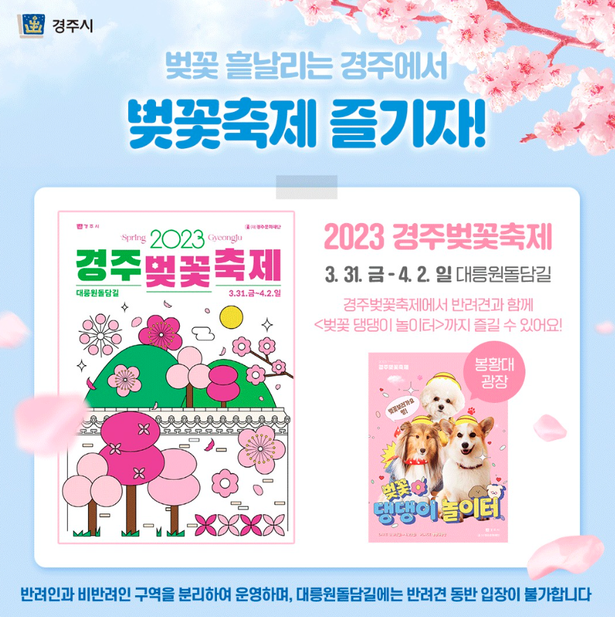 경주 벚꽃 댕댕이 놀이터