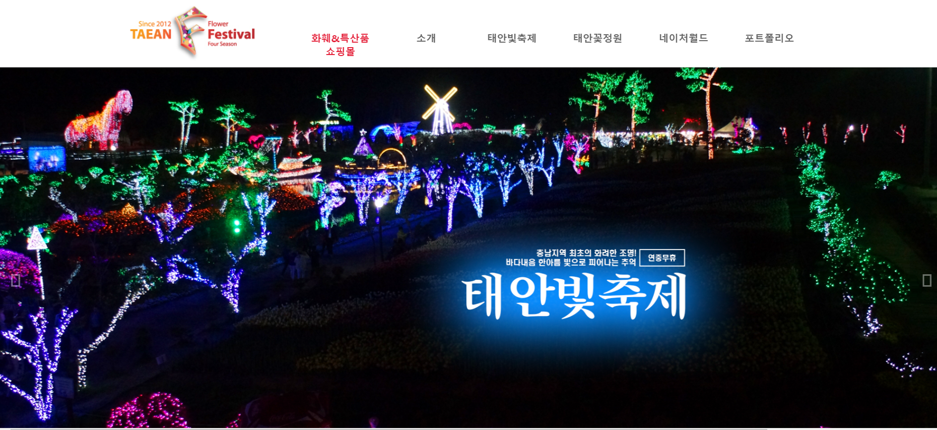 태안 빛축제 & 꽃 박람회