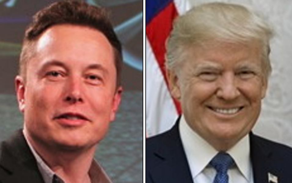 일론 머스크 테슬라 CEO와 도널드 트럼프 대통령