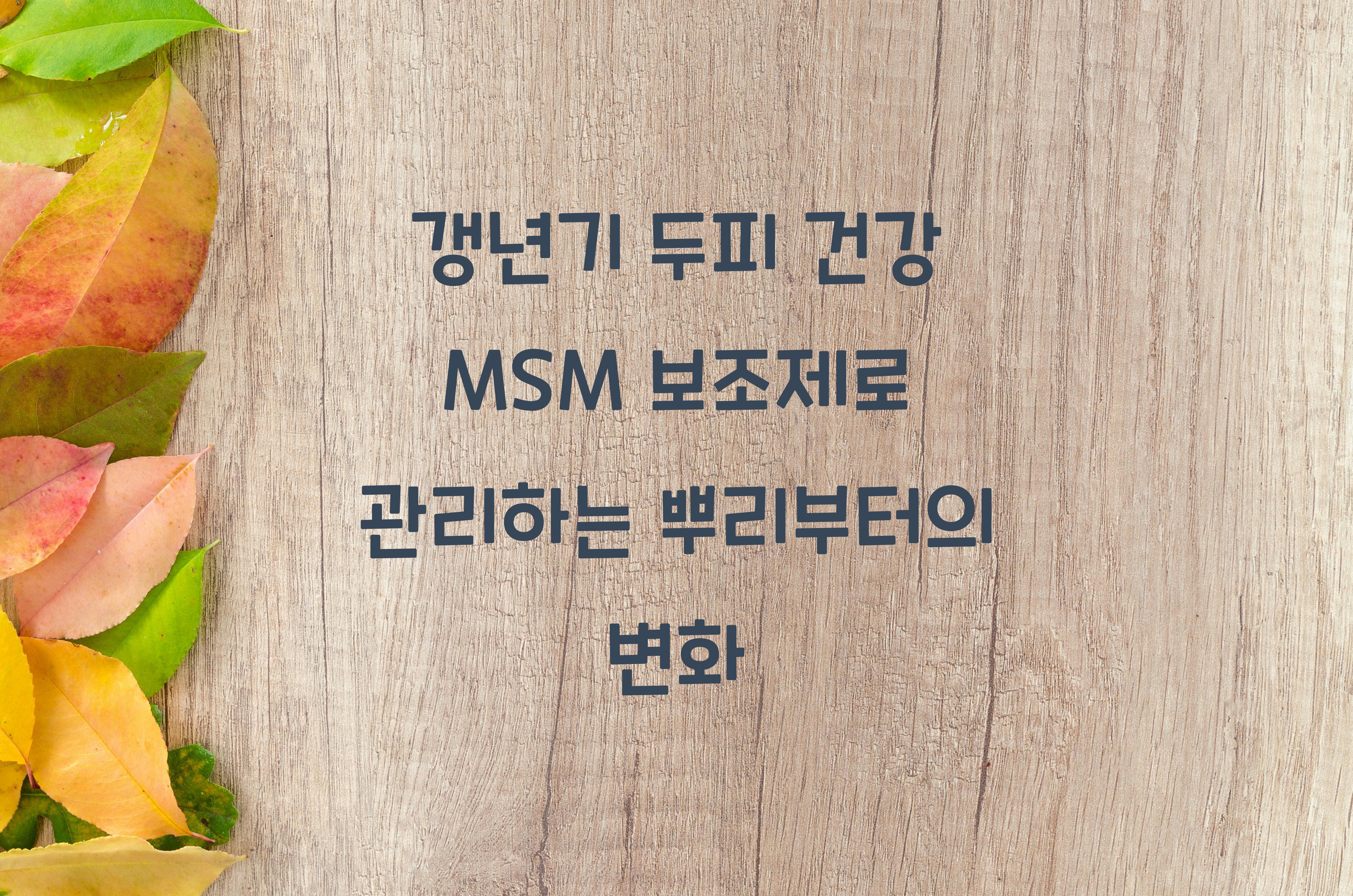 갱년기 두피 건강 MSM 보조제