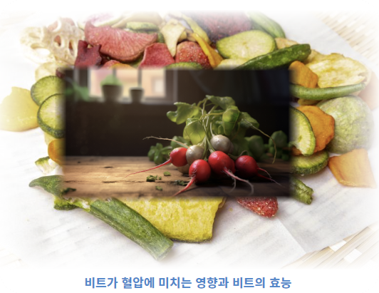 비트가 혈압에 미치는 영향과 비트의 효능