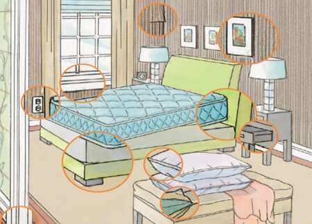 빈대 셀프 방역 방법의 장점, 단점, 주의 사항