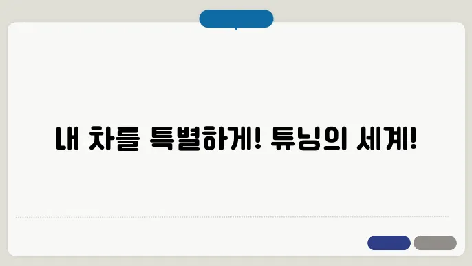 자동차 튜닝 종류