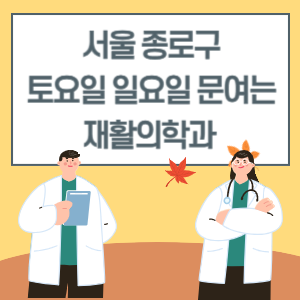 서울 종로구 토요일 일요일 재활의학과 진료 병원 리스트