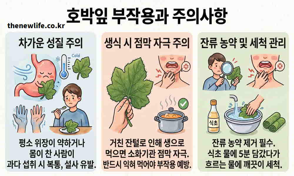 호박잎 효능 부작용
