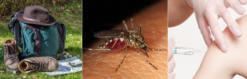 활열병 예방접종