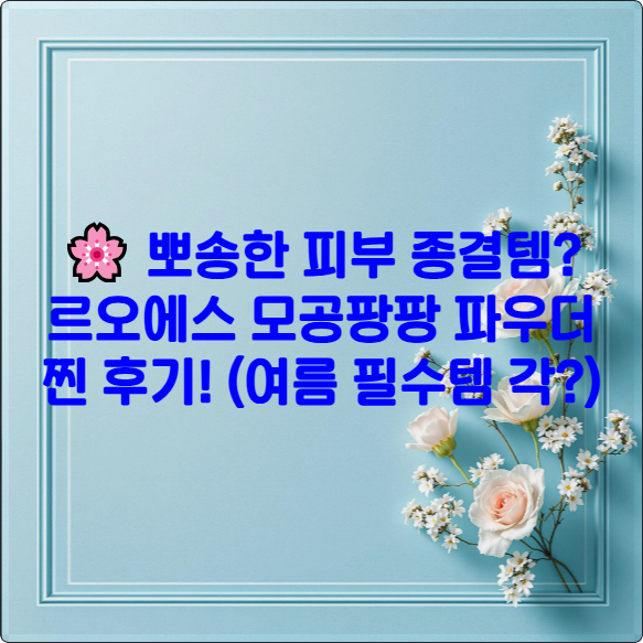🌸 뽀송한 피부 종결템? 르오에스 모공팡팡 파우더 찐 후기! (여름 필수템 각?)