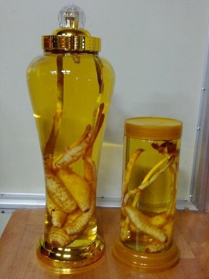 천마주 사진