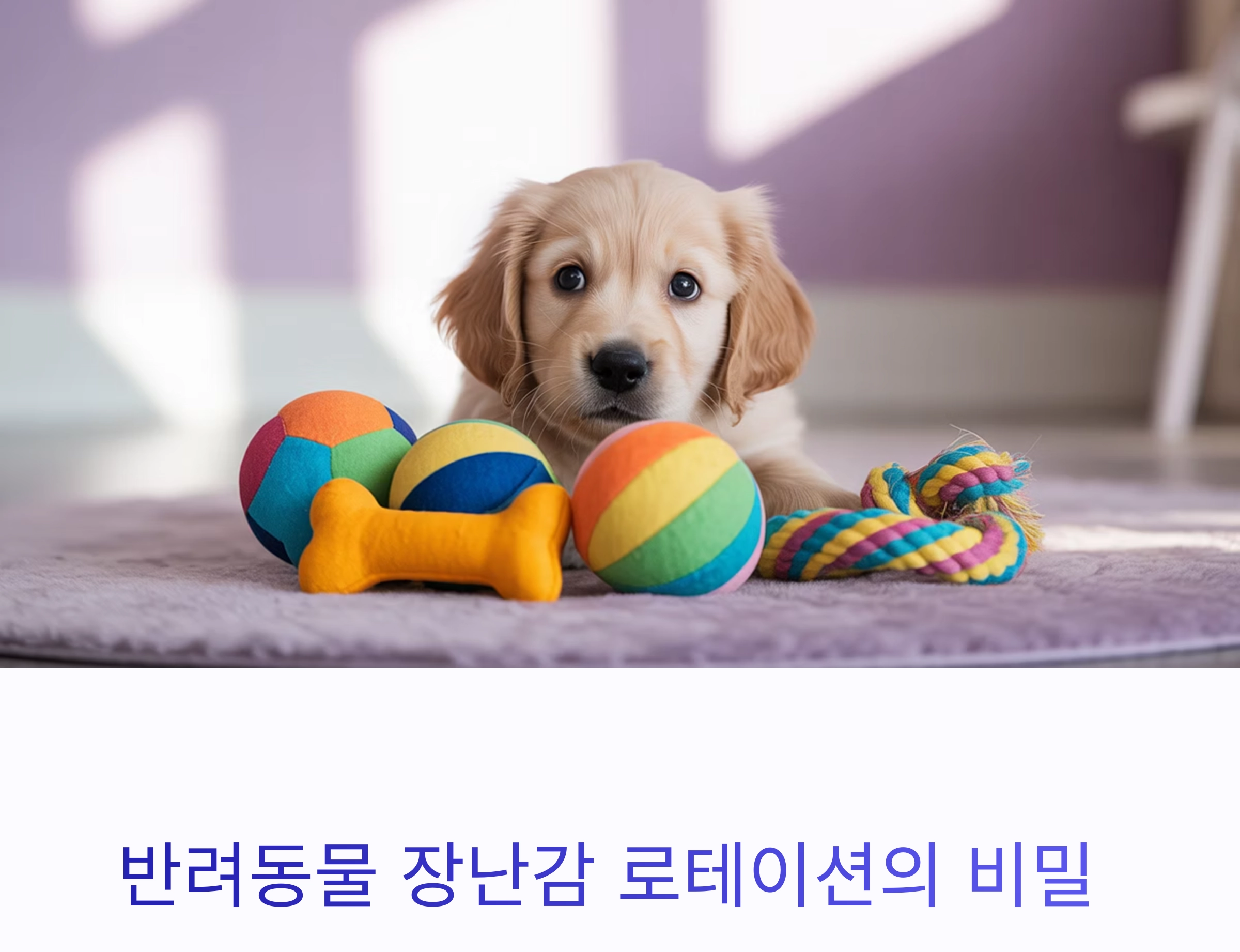 반려동물 장난감, 1주일 단위로 바꿔줘야 하는 이유