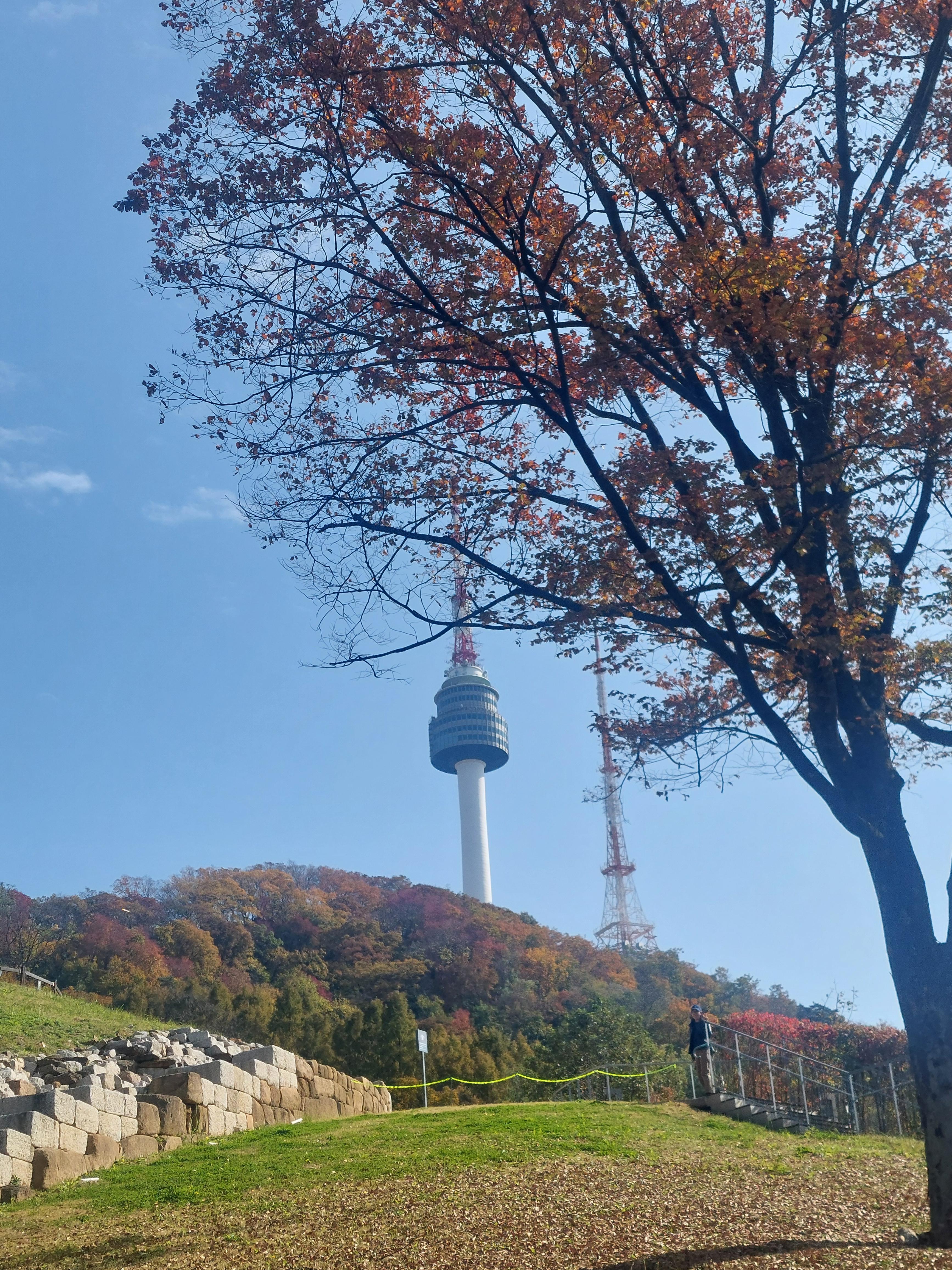 남산