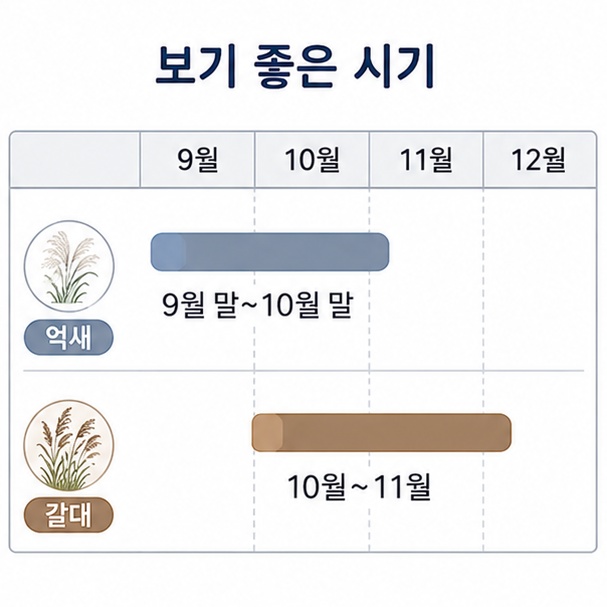 갈대와 억새 절정 시기, 억새 9월 말부터 10월 말, 갈대 10월부터 11월을 표시한 달력 띠