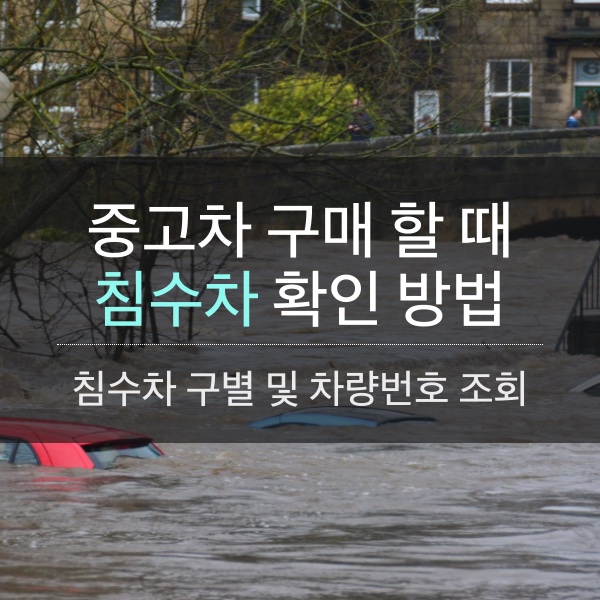 중고차 구매 할 때 침수차 확인 방법과 차량번호로 침수차 조회하는 방법